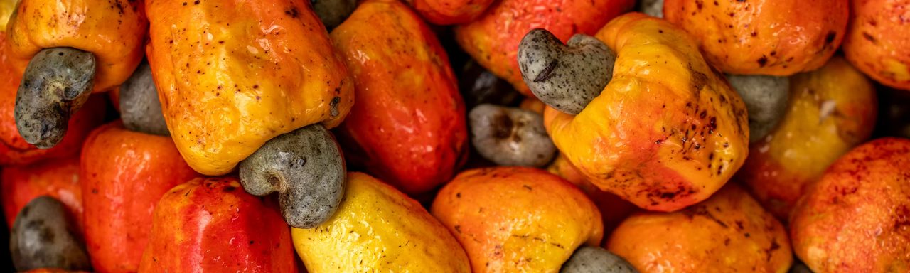 A pile of ripe cashew apples